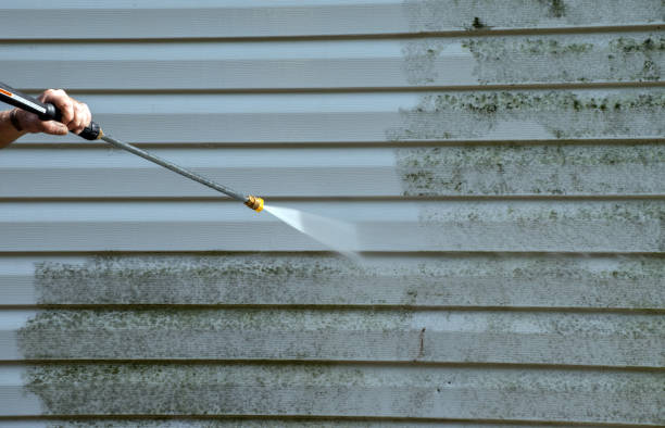 Best Exterior Home Cleaning  in Chatham, IL