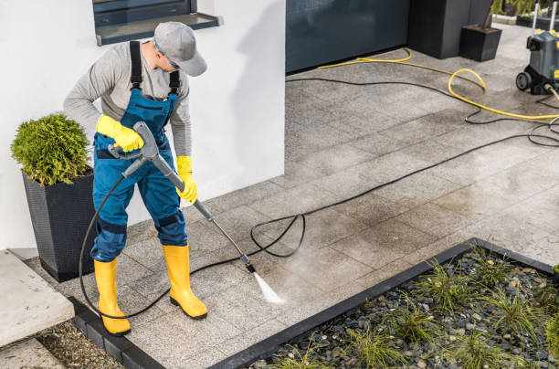 Best Sidewalk Pressure Washing  in Chatham, IL