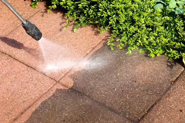 Best Roof Power Washing Services  in Chatham, IL